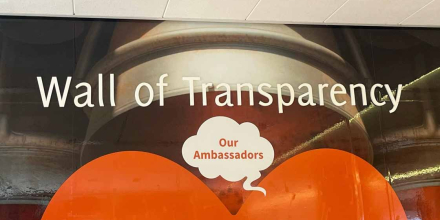 Wall of transparancy